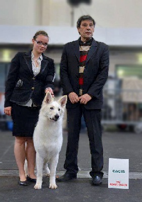 de la Plaine des Trois Lutins - CACIB Toulouse 2012 (31)