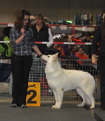 de la Plaine des Trois Lutins - Championnat du Luxembourg