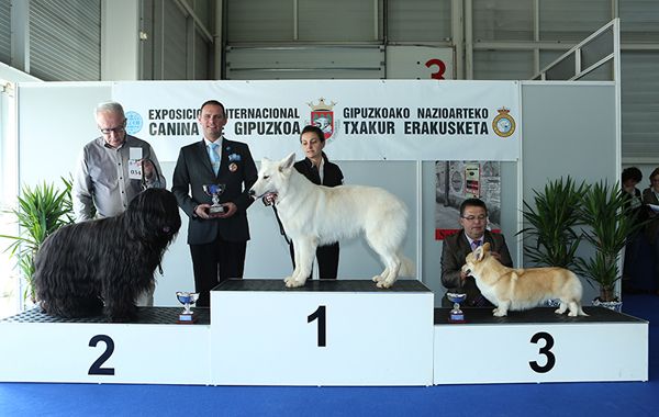 de la Plaine des Trois Lutins - CACIB Irun 2014 (Espagne)