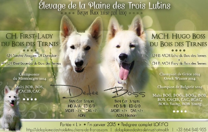 de la Plaine des Trois Lutins - Voeux 2015