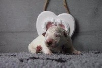 NYMERIA